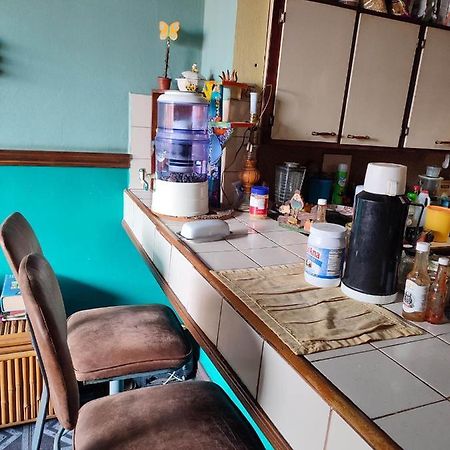 The Cozy Cactus House B&B Cartago Centro English Spoken Zewnętrze zdjęcie